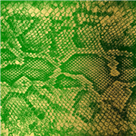 zackey-force-funk-money-green-viper-green-vinyl-12- 82214