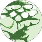 chicagodamn-experiments-must-continue-2-x-lp-inc--download-code- 93281