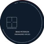 brad-petersen-banfield-audio- 93433