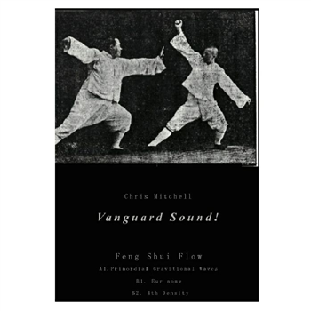 Chris MITCHELL - Feng Shui Flow - Vanguard Sound