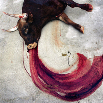 Burial Hex - The Hierophant LP - Handmade Birds Burial Hex - The Hierophant LP - Handmade Birds
