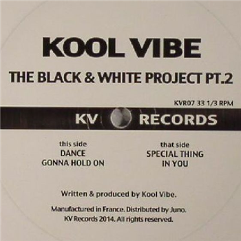 KOOL VIBE - The Black & White Project Pt 2 (White Vinyl 12") - KV