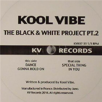 KOOL VIBE - The Black & White Project Pt 2 (White Vinyl 12") - KV KOOL VIBE - The Black & White Project Pt 2 (White Vinyl 12") - KV