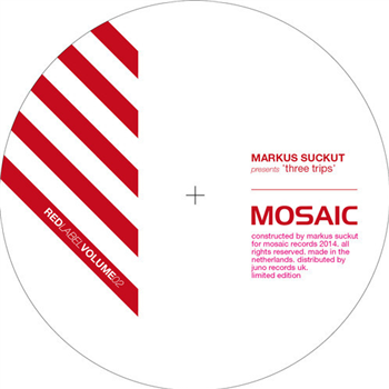 Markus SUCKUT *Repress - Mosaic