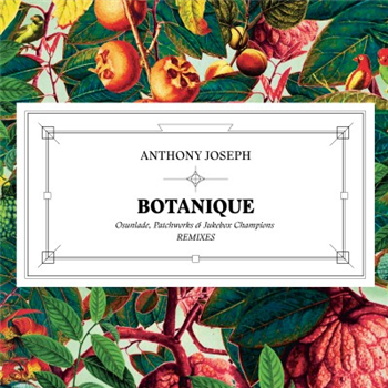 ANTHONY JOSEPH - BOTANIQUE REMIX EP - Heavenly Sweetness