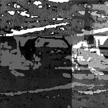 M//R - Gathering Response Data - GREAT CIRCLES M//R - Gathering Response Data - GREAT CIRCLES
