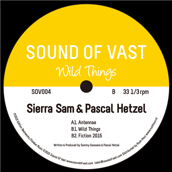 SIERRA SAM & PASCAL HETZEL - WILD THINGS EP - SOUND OF VAST