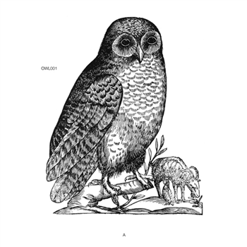 UNKNOWN ARTIST - OWL001 - Owl