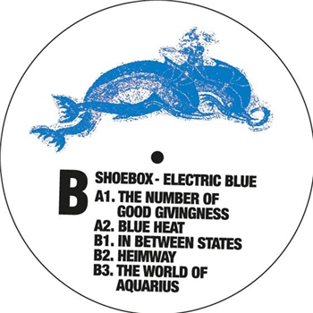 SHOEBOX - ELECTRIC BLUE - Shoebox