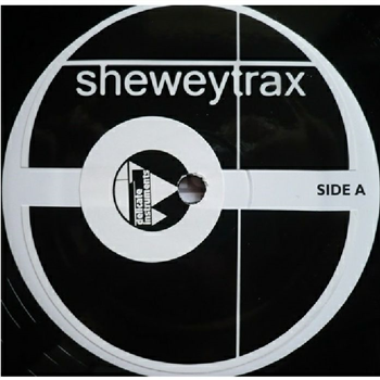 DELICATE INSTRUMENTS - Delicate Instruments EP - Shewey Trax