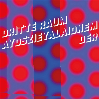 Der Dritte Raum - Aydszieyalaidnem (2 X LP) (Incl. Download) - Der Dritte Raum