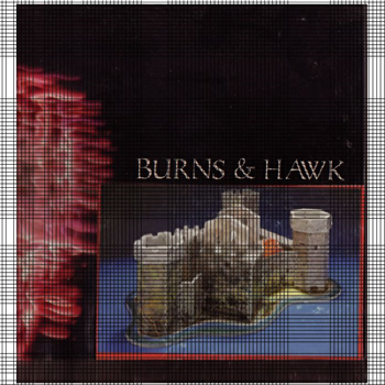 BURNS & HAWK - Becoming Nice - Valcrond Video