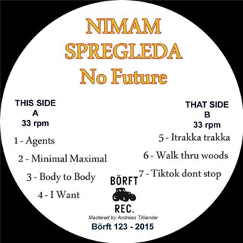 Nimam Spregleda - No Future - Borft