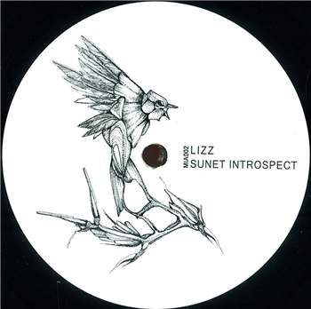 Lizz - Sunset Introspect EP - music is art