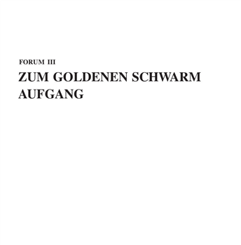 Zum Goldenen Schwarm - Aufgang - Forum