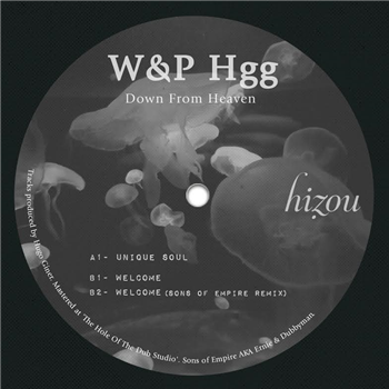 W&P Hgg - Down From Heaven  - Hizou Deep Rooted Music