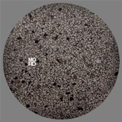 Exium - Human Element EP - Mord