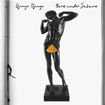 Django Django - Born Under Saturn (2 x LP) Incl. CD - Because