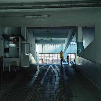 RÖYKSOPP / AUDION - GREEN RECORDS RÖYKSOPP / AUDION - GREEN RECORDS