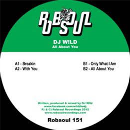 DJ W!ld – All About You - Robsoul Recordings