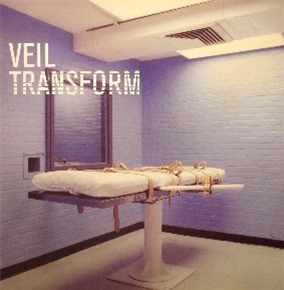 VEIL (OLIVER HO) - TRANSFORM - LIGHT AND DARK