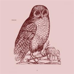 Unknown artist - Owl 3 - Owl
