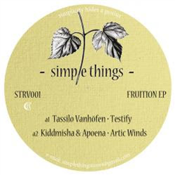 Fruition EP - Simple Things Records