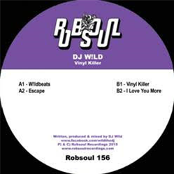 DJ W!ld – Vinyl Killer - Robsoul Recordings