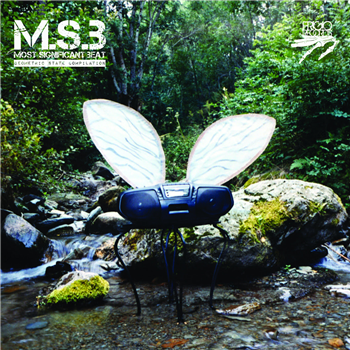M.S.B - Frigio Records M.S.B - Frigio Records