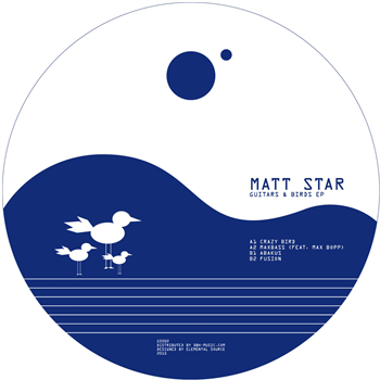 Matt Star - Guitars & Birds - Gravity Surfer