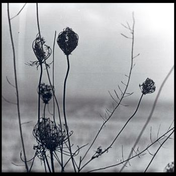 Recondite - Placid (2 X LP + DL) - Acid Test