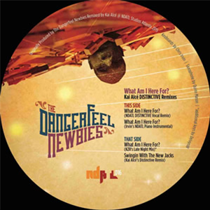 The Dangerfeel Newbies - What Am I Here For? (Kai Alcé DISTINCTIVE Remixes) - NDATL Muzik