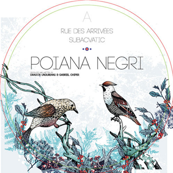 Poiana Negri - Subacvatic EP - diferit records