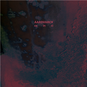 AARDVARCK - CO IN CI - Skudge Records