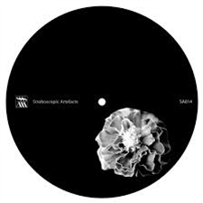 XHIN / PERC - UNTITLED - Stroboscopic Artefacts