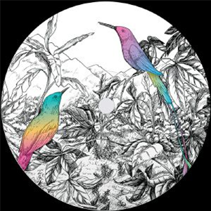 Two Birds - A VISION OF PANORAMA - Mellophonia
