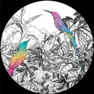 Two Birds - A VISION OF PANORAMA - Mellophonia Two Birds - A VISION OF PANORAMA - Mellophonia