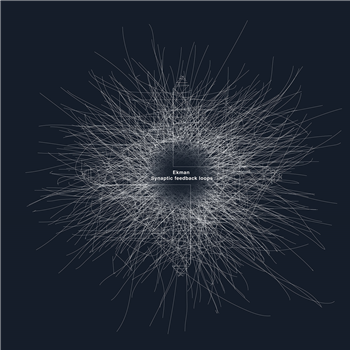 Ekman - Synaptic Feedback Loops - Shipwrec