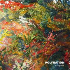 Polynation - Allogamy - Atomnation