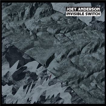 JOEY ANDERSON - INVISIBLE SWITCH (2 X LP) - Dekmantel