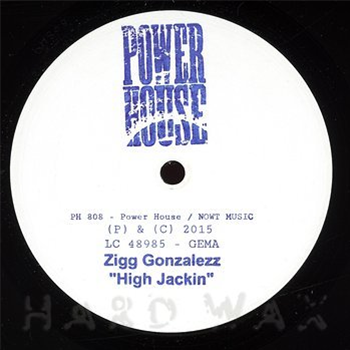Zigg Gonzalezz - Power House