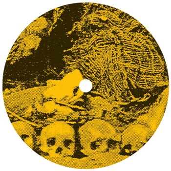 Katsunori Sawa - Secret of Silence - Weevil Neighbourhood