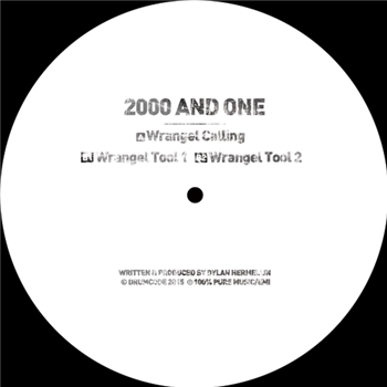 2000 and One - DRUMCODE LIMITED