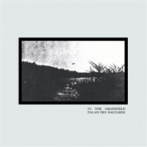 PALAIS DES BAUZARDS - IN THE GRASSFIELD LP - ONDERSTROOM RECORDS