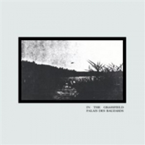 PALAIS DES BAUZARDS - IN THE GRASSFIELD LP - ONDERSTROOM RECORDS PALAIS DES BAUZARDS - IN THE GRASSFIELD LP - ONDERSTROOM RECORDS