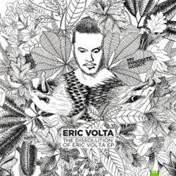 Eric Volta - The Dissolution Of Eric Volta - My Favorite Robot Records
