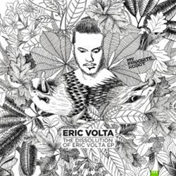 Eric Volta - The Dissolution Of Eric Volta - My Favorite Robot Records Eric Volta - The Dissolution Of Eric Volta - My Favorite Robot Records