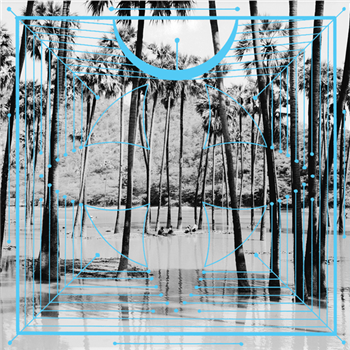 Four Tet - Pink (2 X LP)  - Text