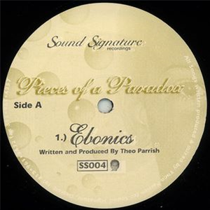 Theo Parrish - Pieces Of A Paradox *Repress - Sound Signature