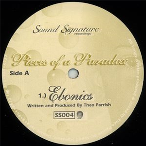 Theo Parrish - Pieces Of A Paradox  - Sound Signature